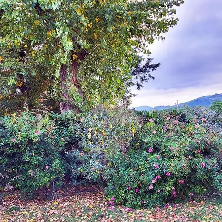 ヴィラ Le Dell'olmo アッシジ