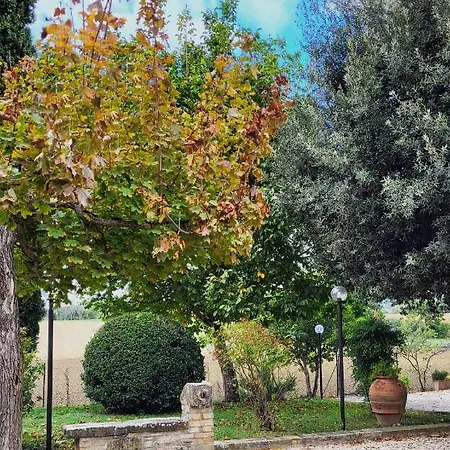 Le Dell'olmo アッシジ