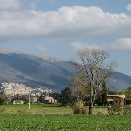 Le Dell'olmo ヴィラ