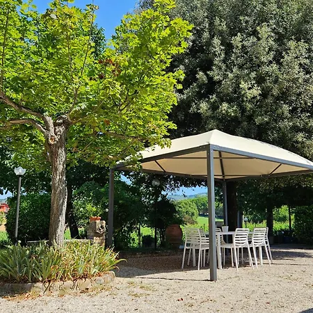 Le Dell'olmo